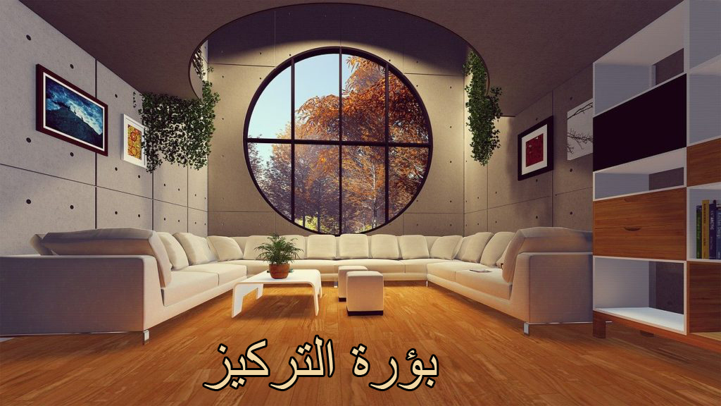بؤرة التركيز 